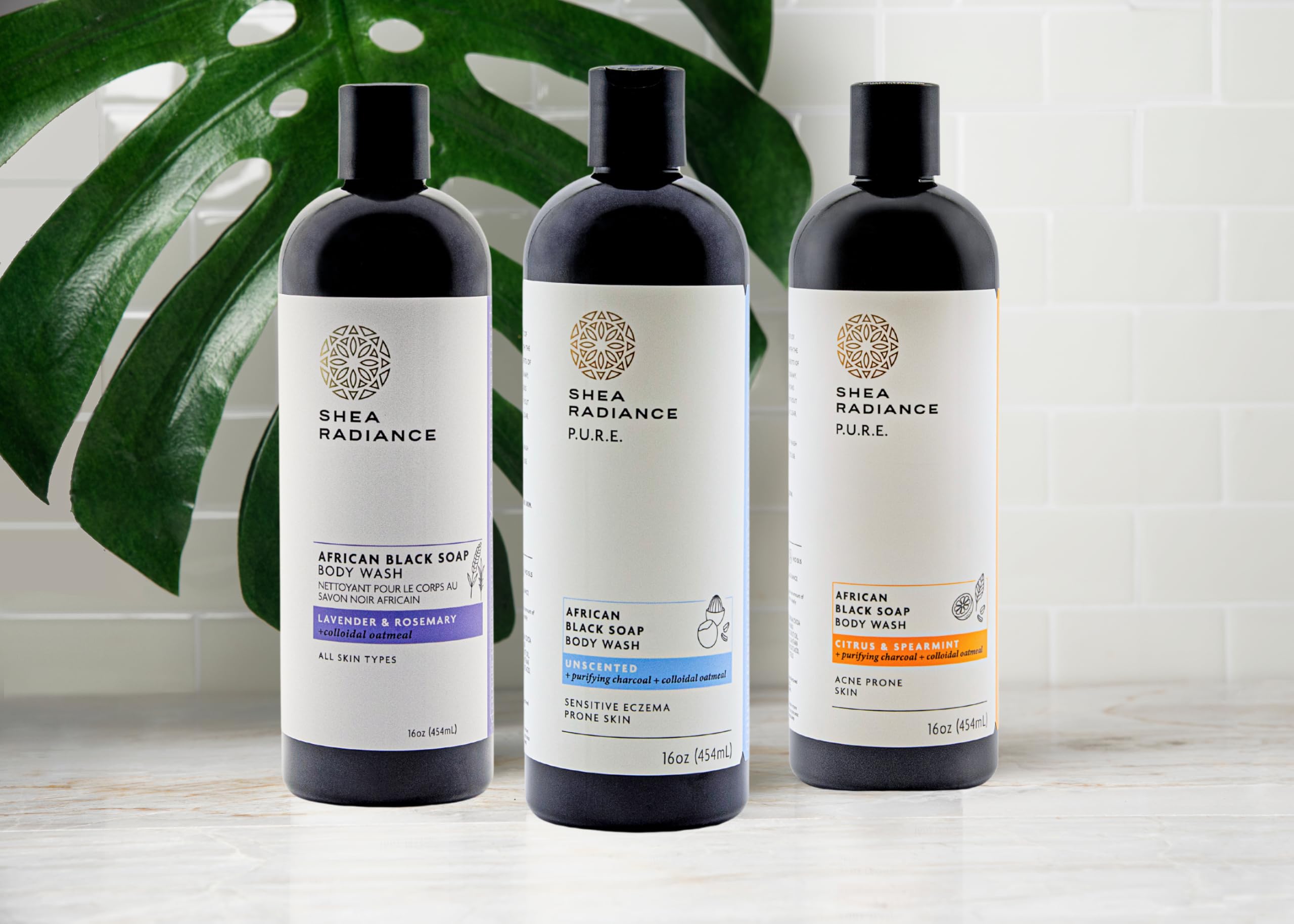 Shea Radiance African Black Soap Body Wash - Dry Skin, Eczema, Rashes, Blemish Cleanser | Unscented (16 oz)